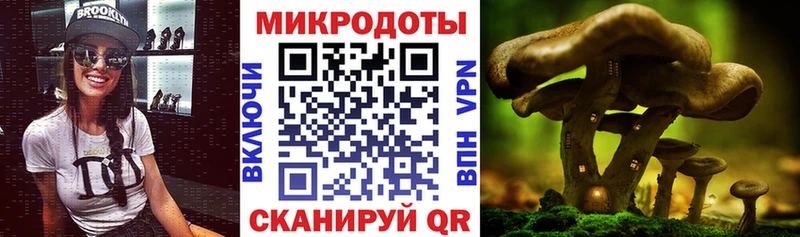 купить закладку  Калининск  блэк спрут сайт  Галлюциногенные грибы мухоморы 
